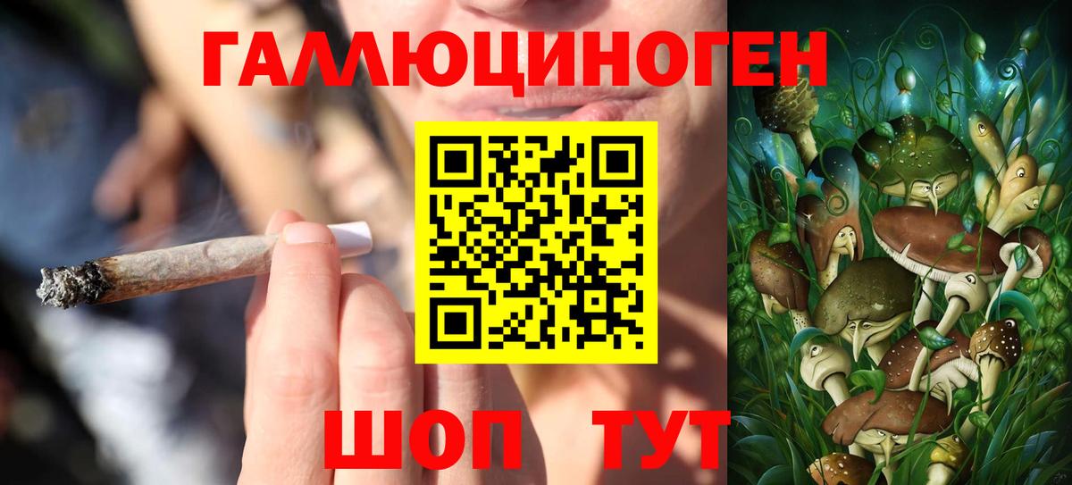 Псилоцибиновые грибы мицелий  Вход с VPN  Рассказово 
